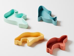 <em><strong>Color Recognition</strong></em>