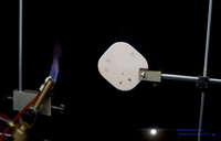 NCVI Fire Test